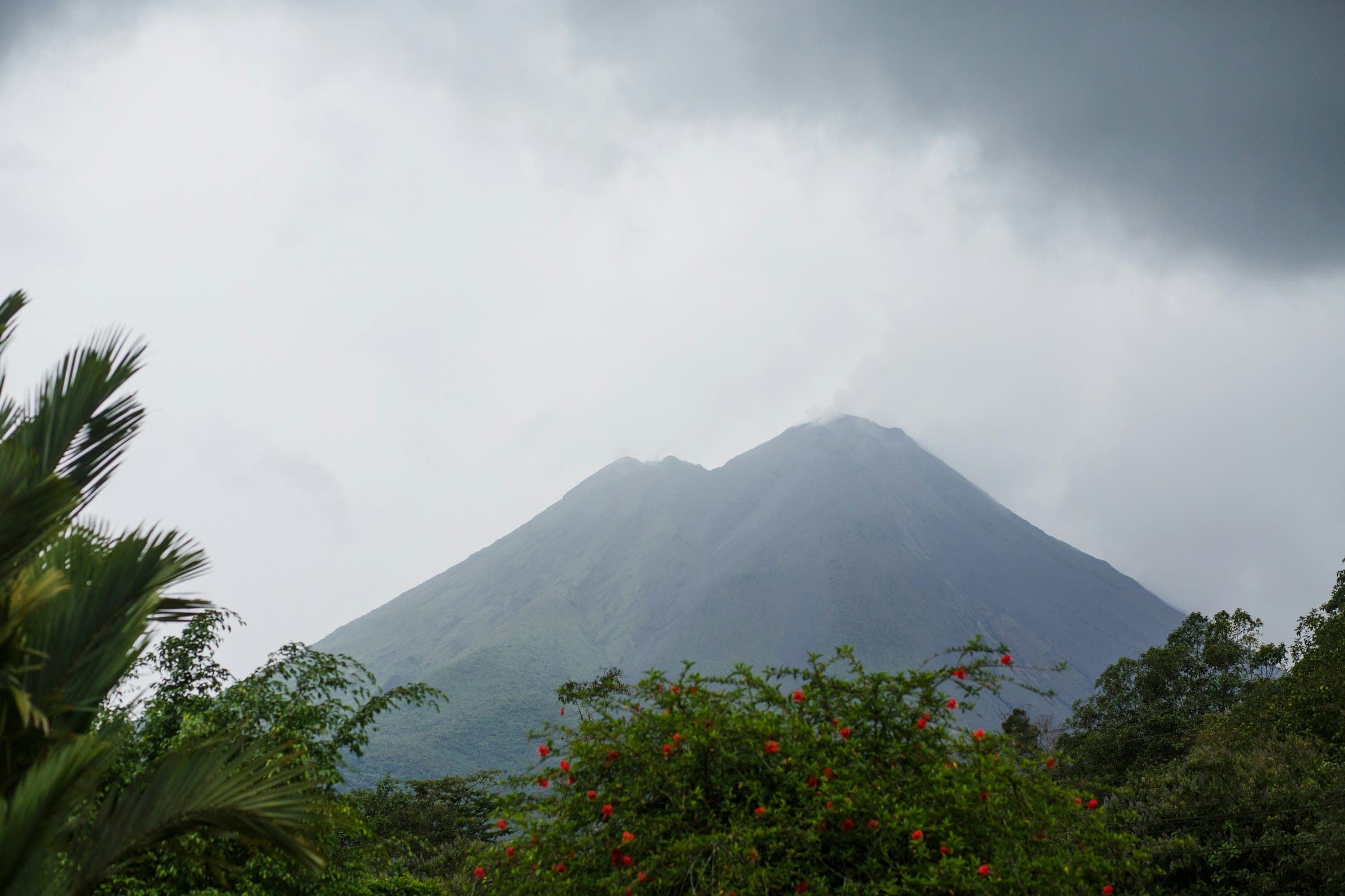 green trees near mountain under white clouds during daytime