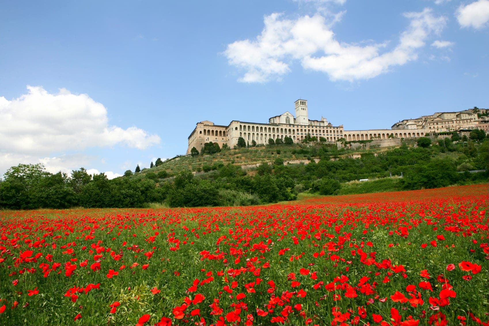 Assisi