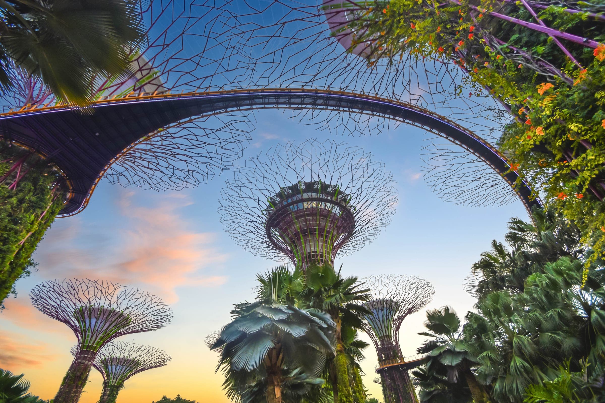 Singapore Supertrees