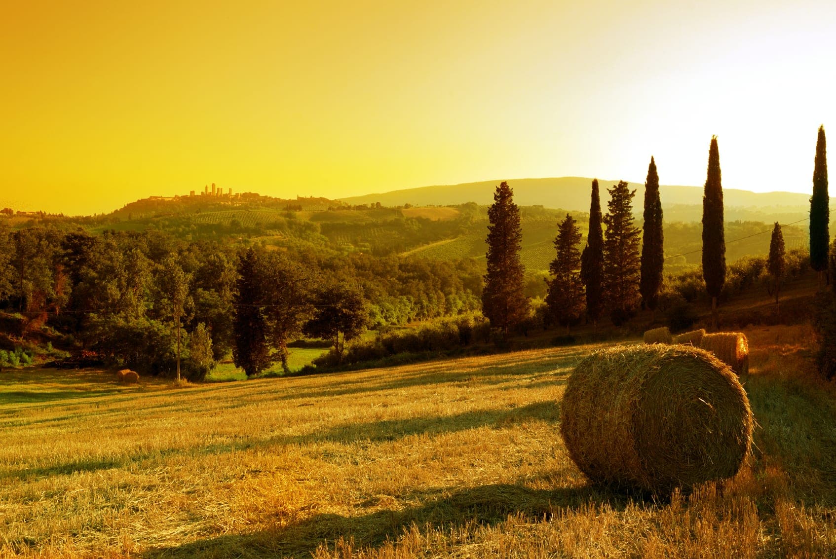 The rolling hills of Tuscany