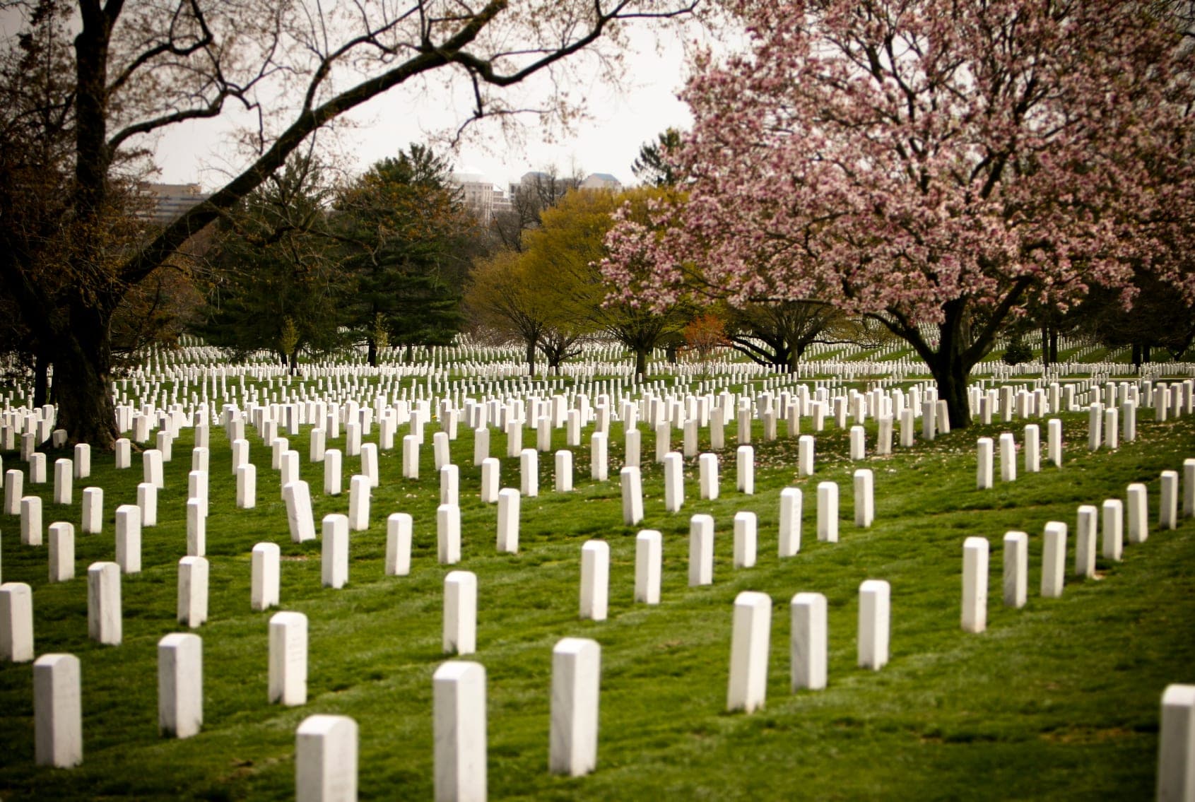 Arlington National Cemetery