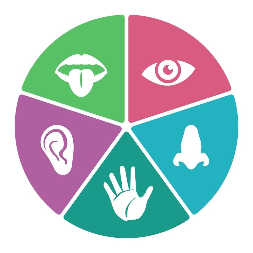 Music, Food, and Festivals: Experiencing Culture Through the Senses on Educational Tours