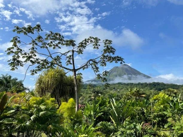 Science in the Field: Best Educational Travel Destinations for Natural Wonders