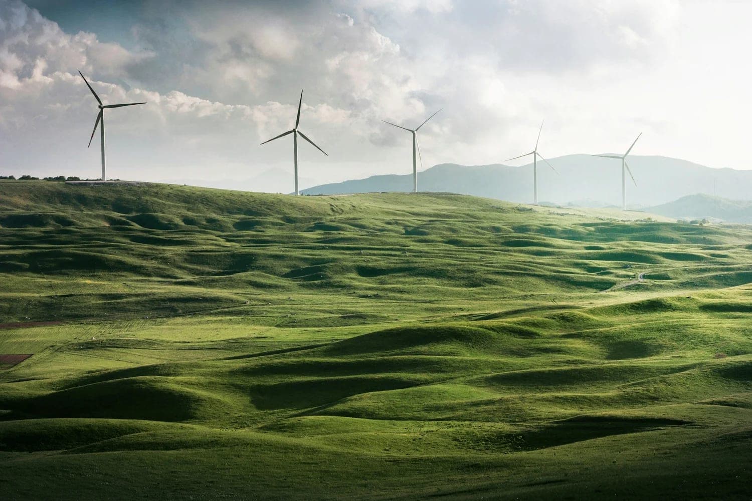 Sustainable Travel Tips for Eco-Friendly Student Tours