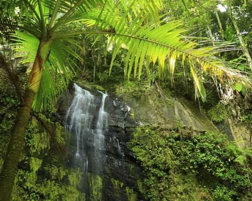 El Yunque
