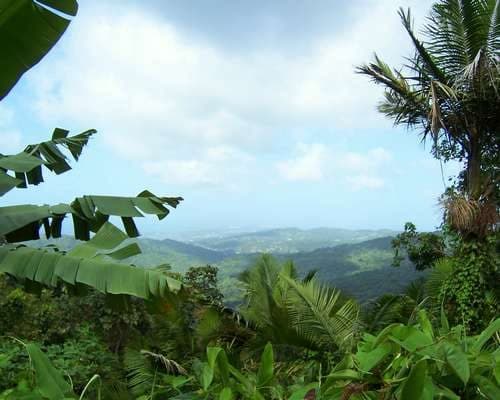 El Yunque