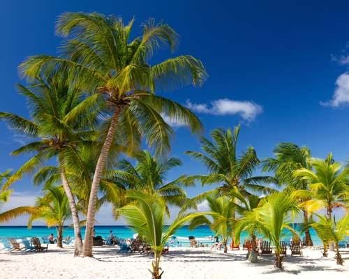 Tropical Beach, Saona Island, Dominican Republic