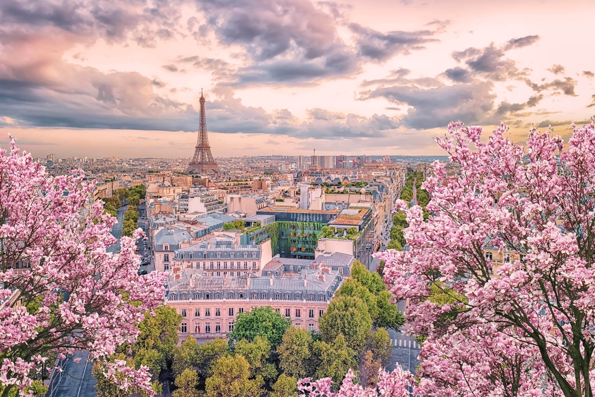 Paris Panoramic