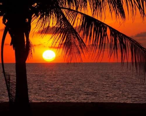 Tropical Sunset